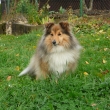 Chimera z Vesni�ky u hranic
